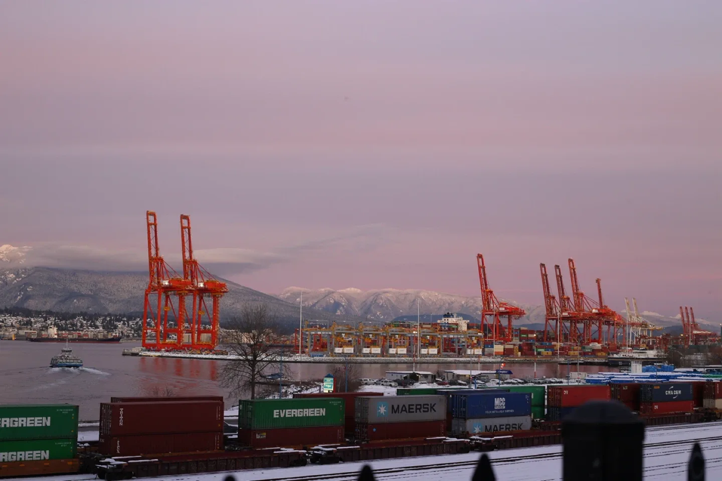 Canon EOS 6D Camera with EF 50mm f/1.8 STM Lens image indicator(6)