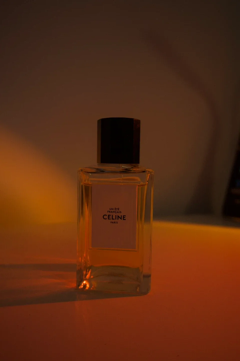 FUJIFILM XT-100 image indicator(2)