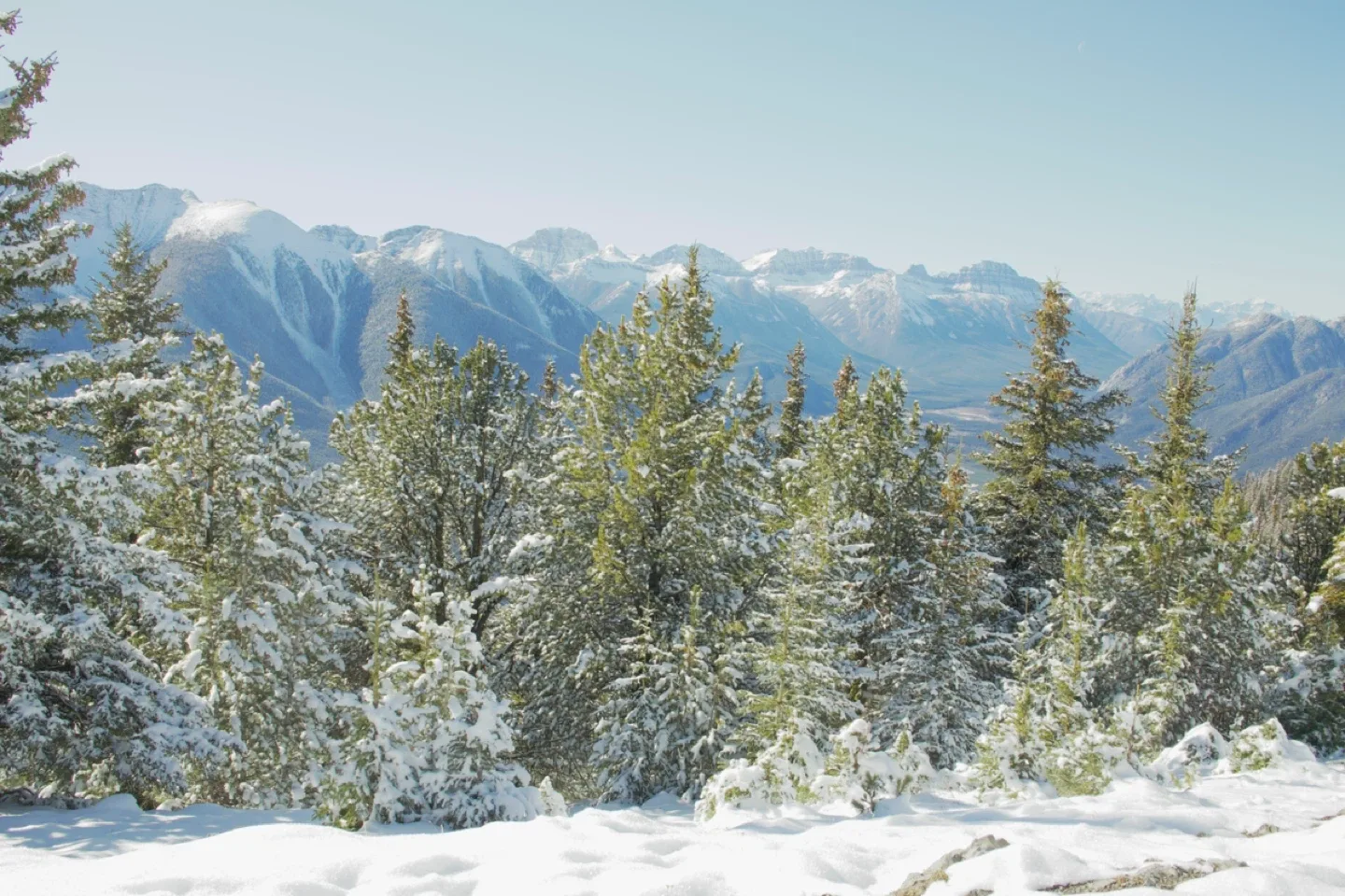 FUJIFILM XT-100 image indicator(3)