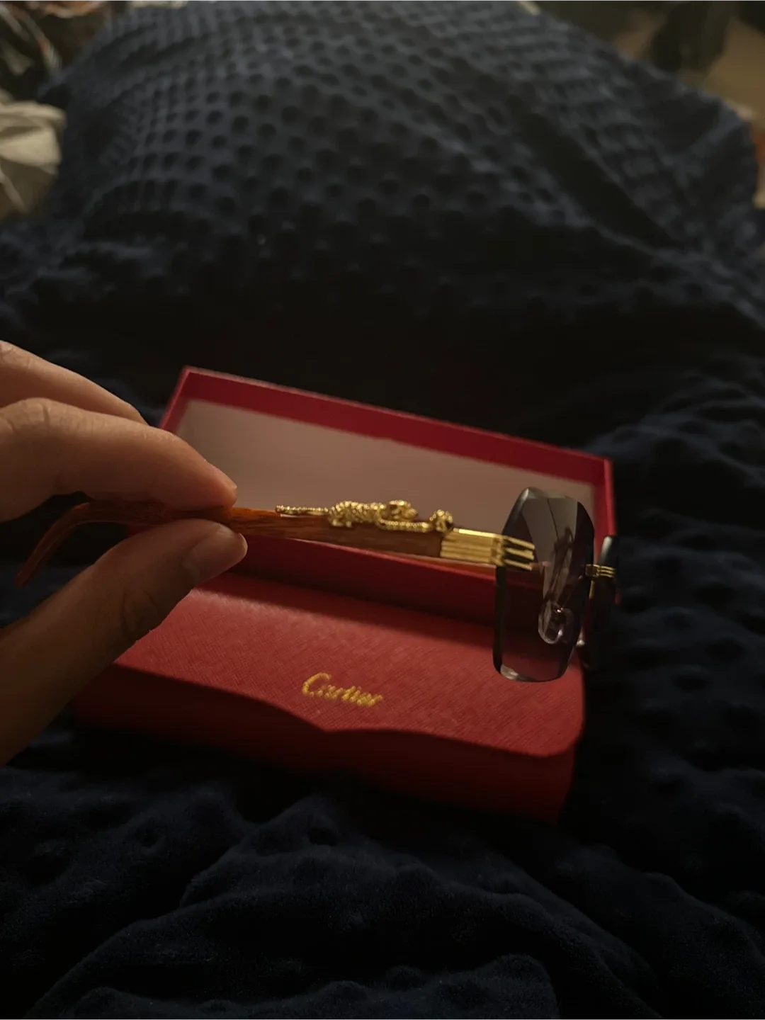 Cartier Sunglasses with Case image indicator(3)