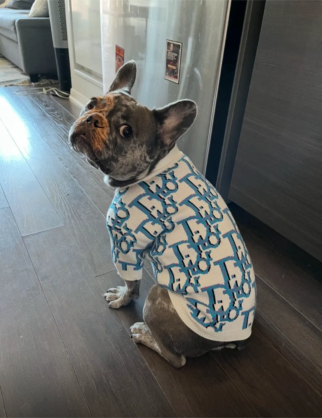 Fur Baby Fleece and sweaters (cat/dogs) image indicator(2)