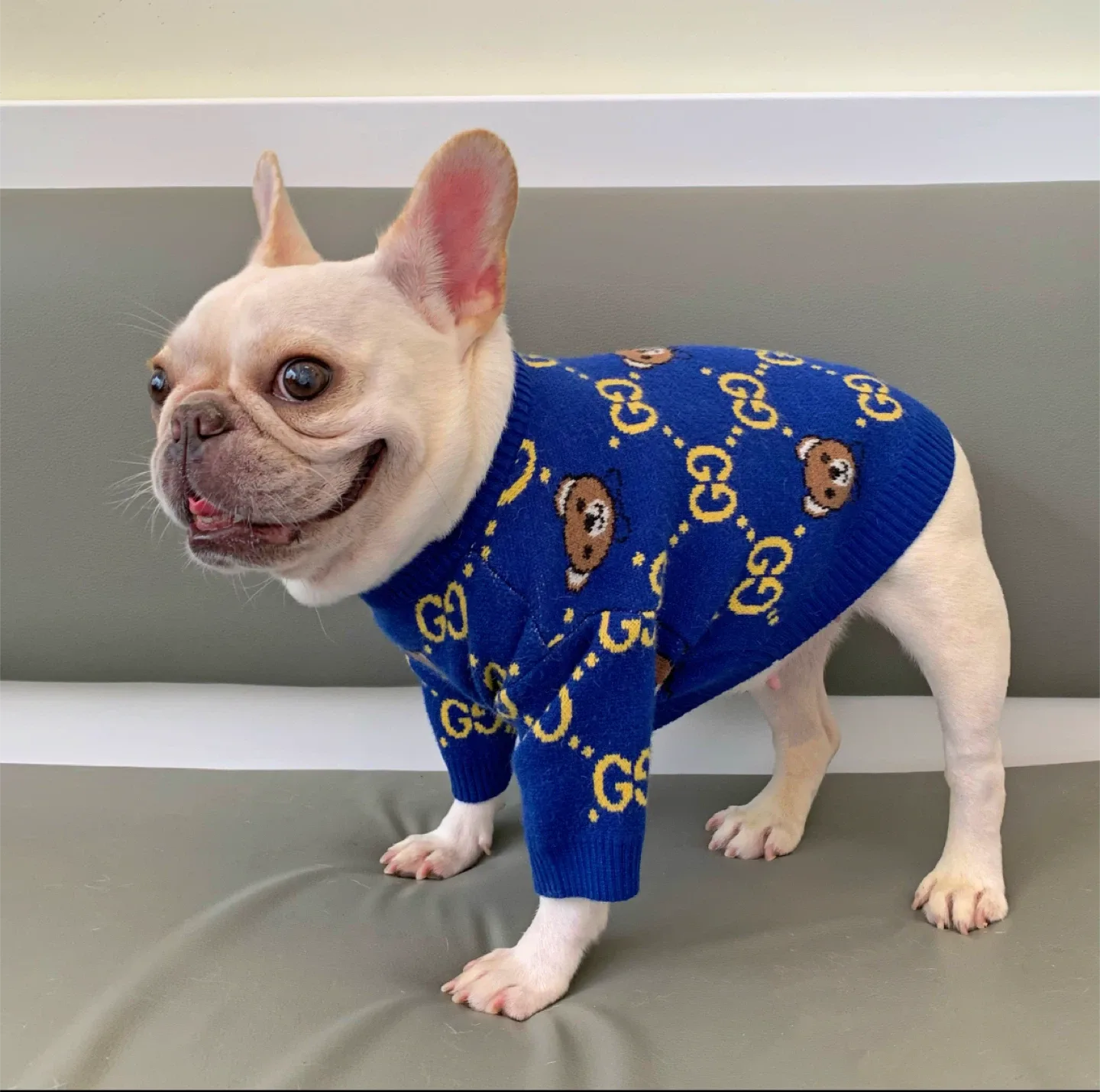 Fur Baby Fleece and sweaters (cat/dogs) image indicator(6)