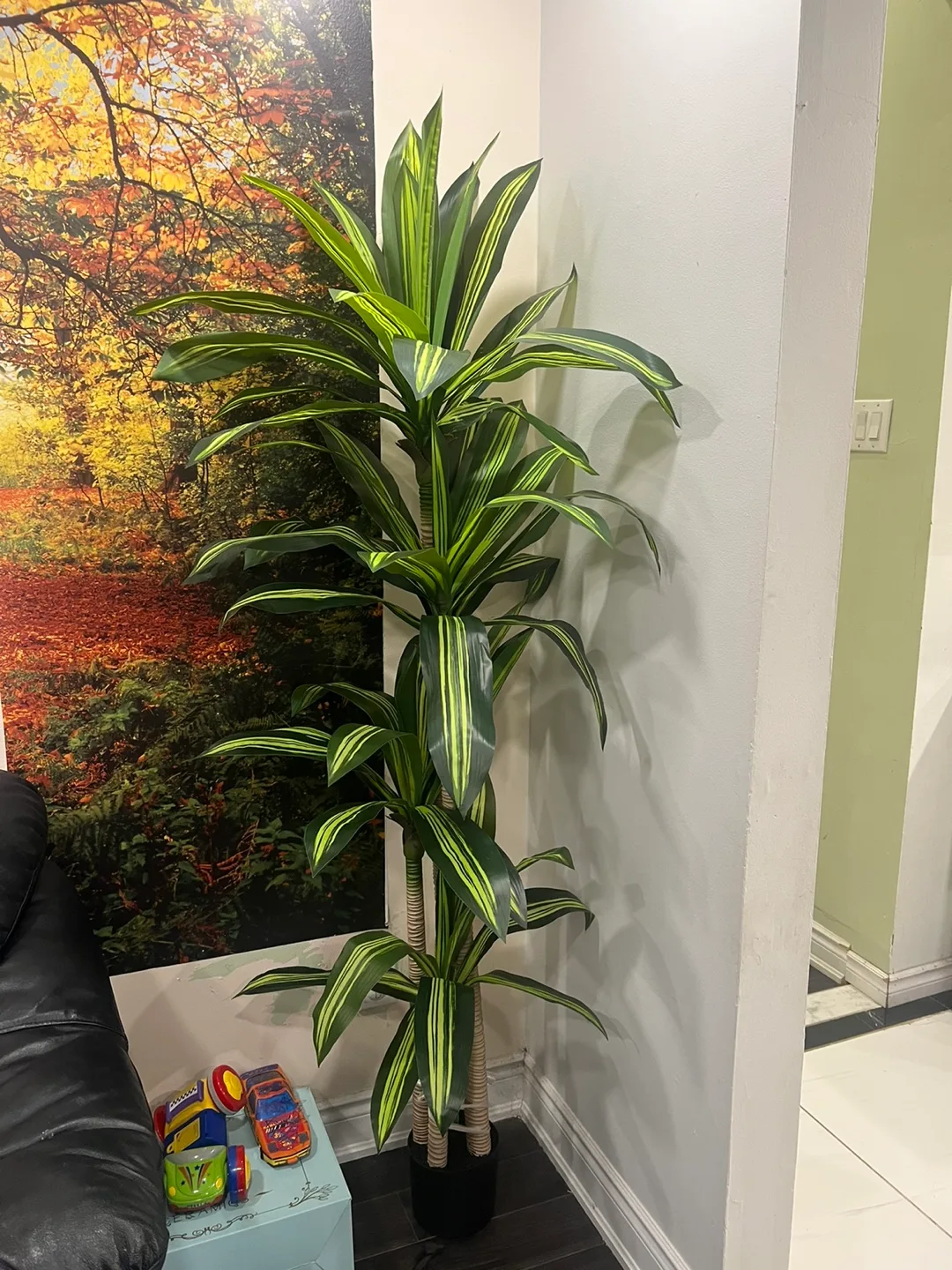 Artificial Dracaena Plant tall ( brand new ) image indicator(3)