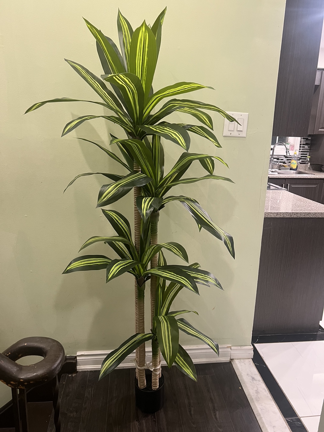 Artificial Dracaena Plant tall ( brand new ) - photo 2