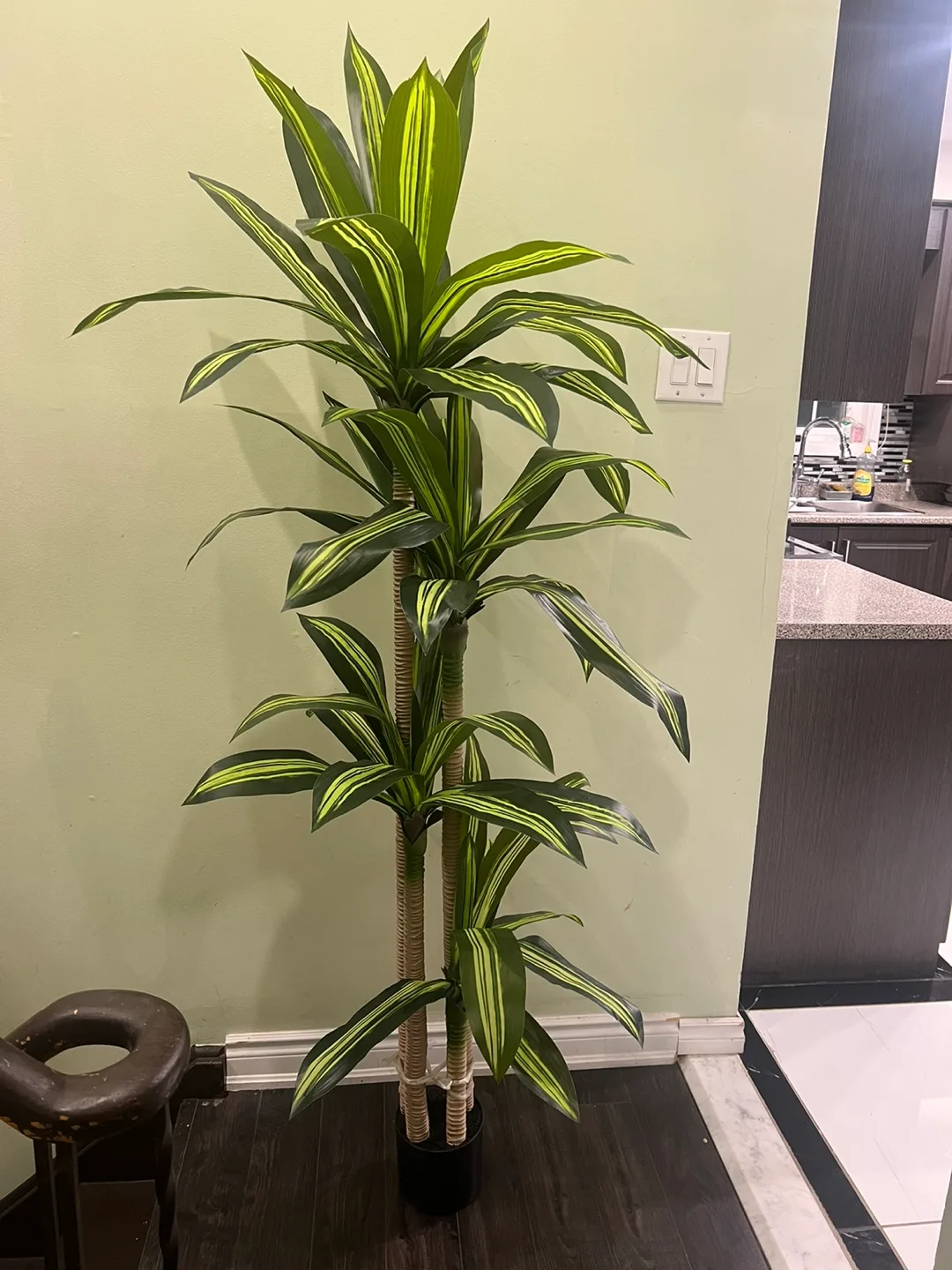 Artificial Dracaena Plant tall ( brand new ) image indicator(2)