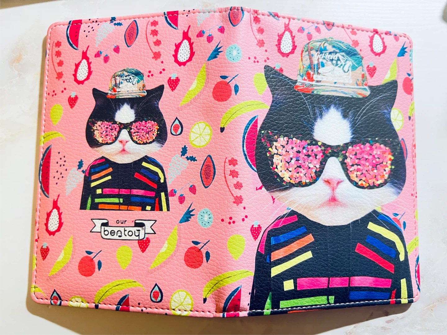 New Passport Holder
