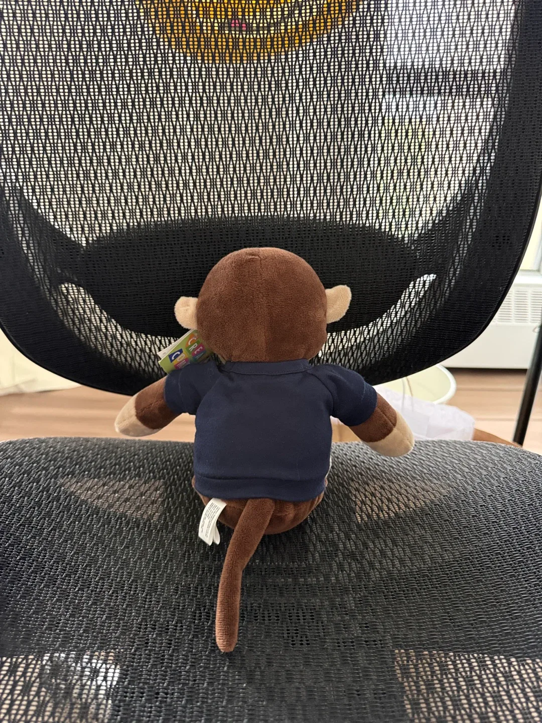 Chimp Cuddle Pal 8" Plush Toy image indicator(2)