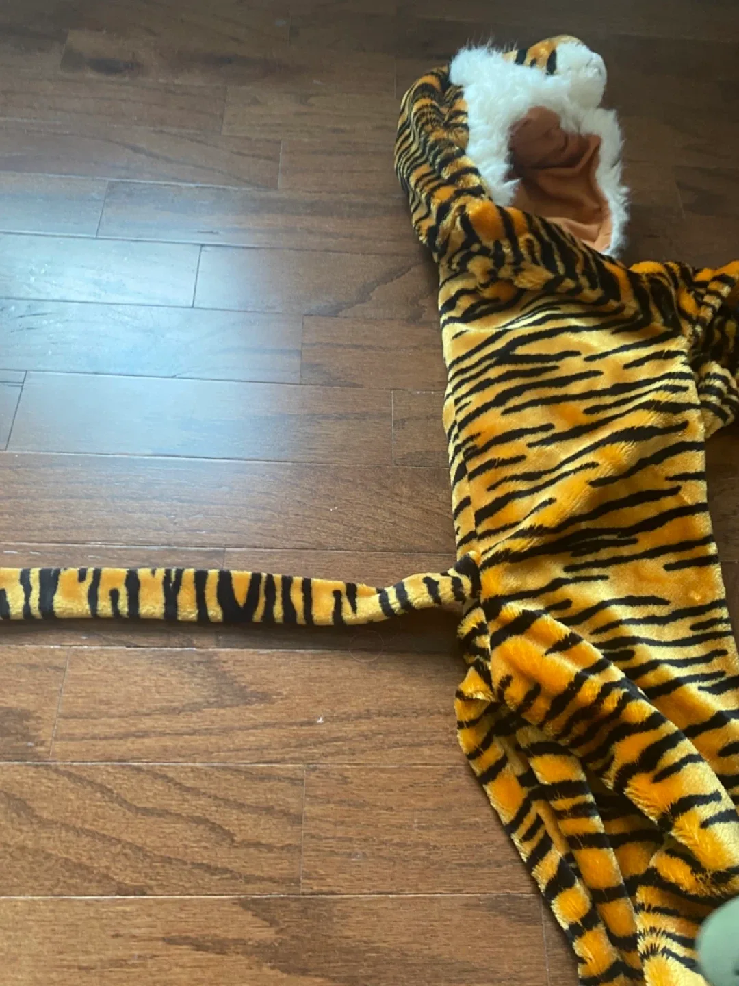 Tiger Costume image indicator(2)