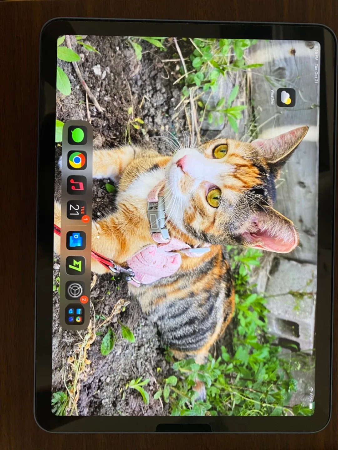 iPad Air with Case, Pencil & Screen Protector image indicator(7)