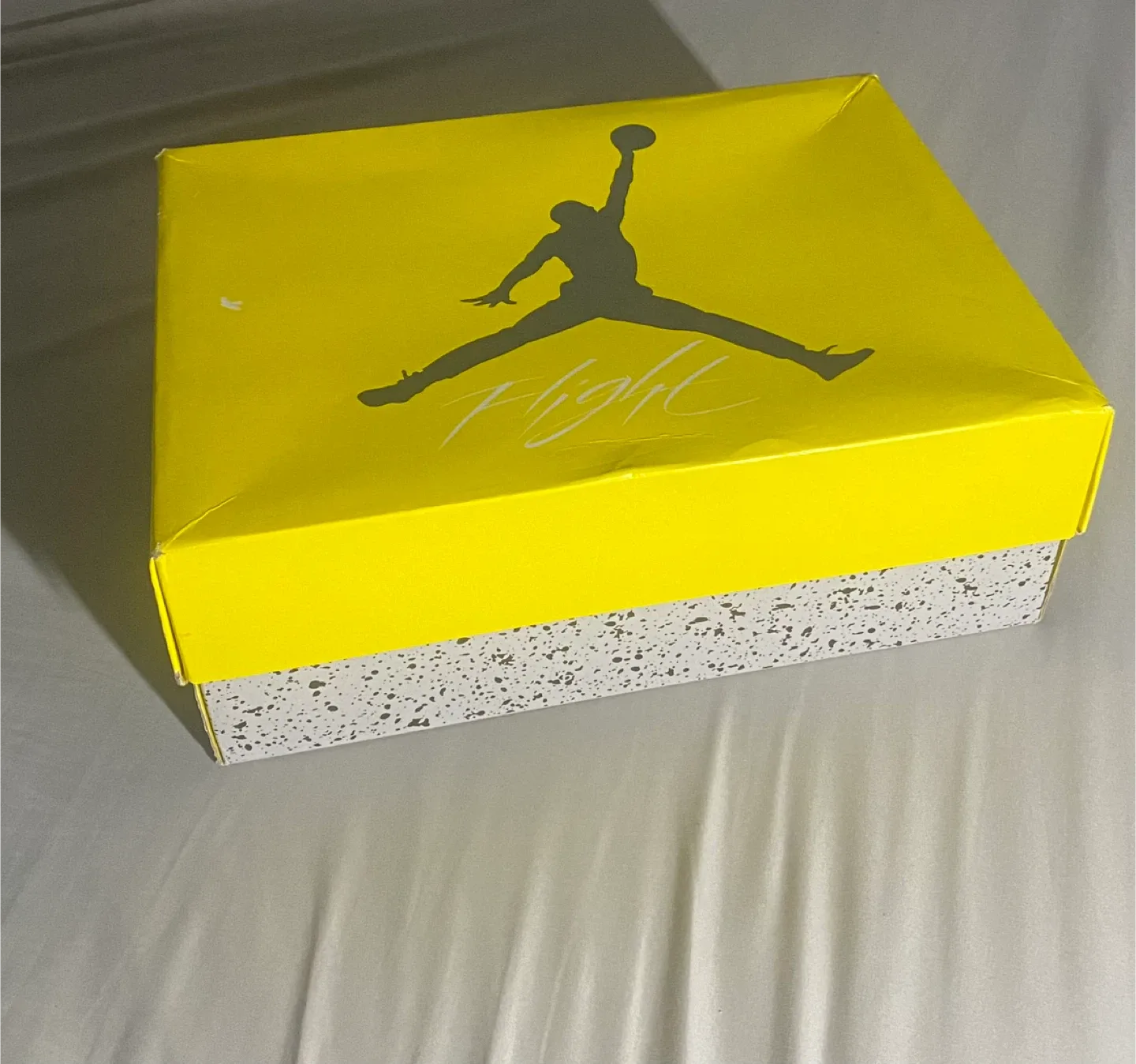 Air Jordan 4 Retro Lightning image indicator(6)