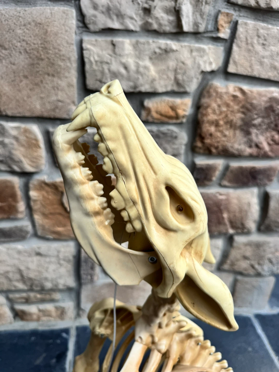 Halloween Animatronic Wolf Skeleton - photo 2