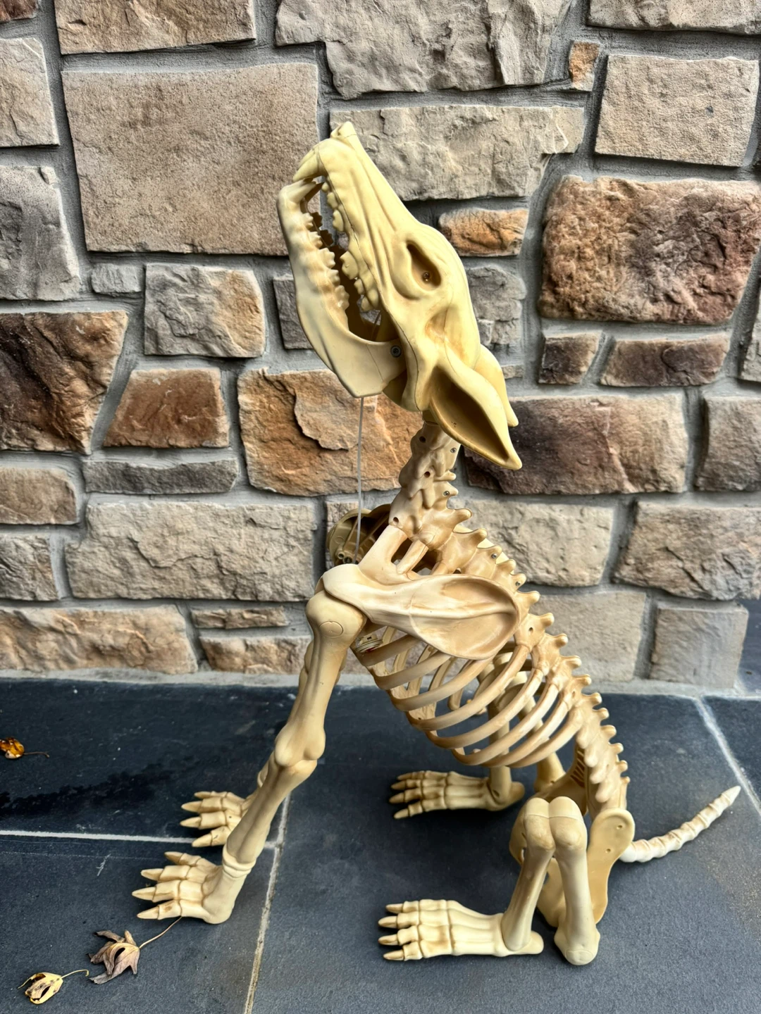 Halloween Animatronic Wolf Skeleton