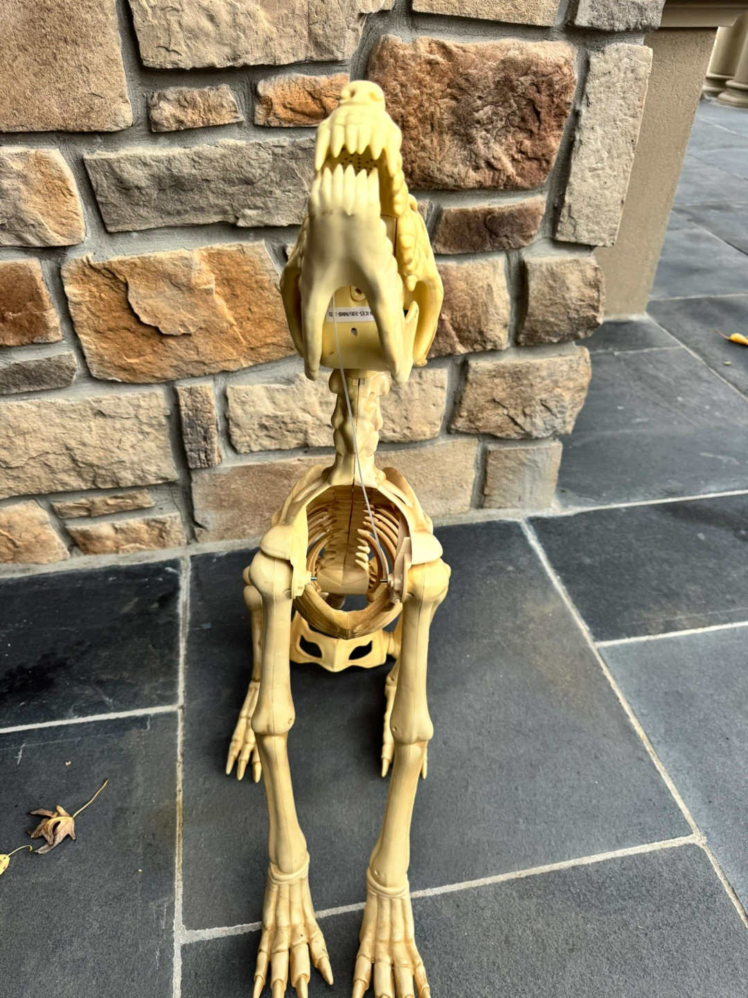 Halloween Animatronic Wolf Skeleton - photo 3