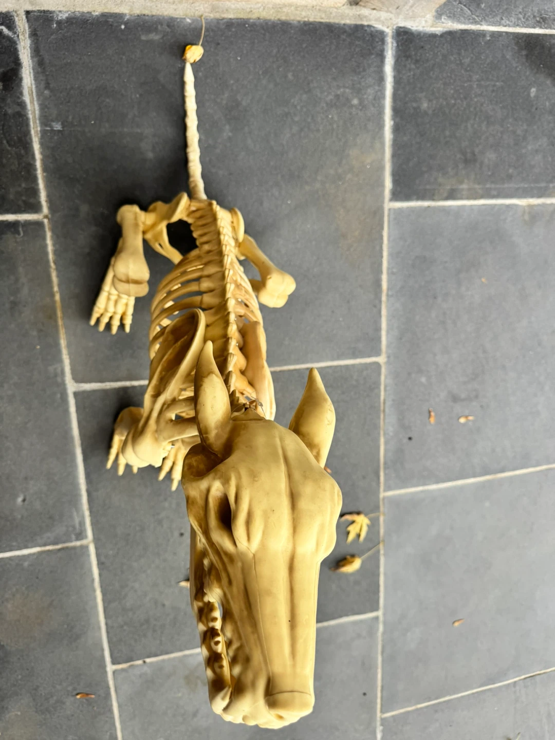 Halloween Animatronic Wolf Skeleton - photo 4