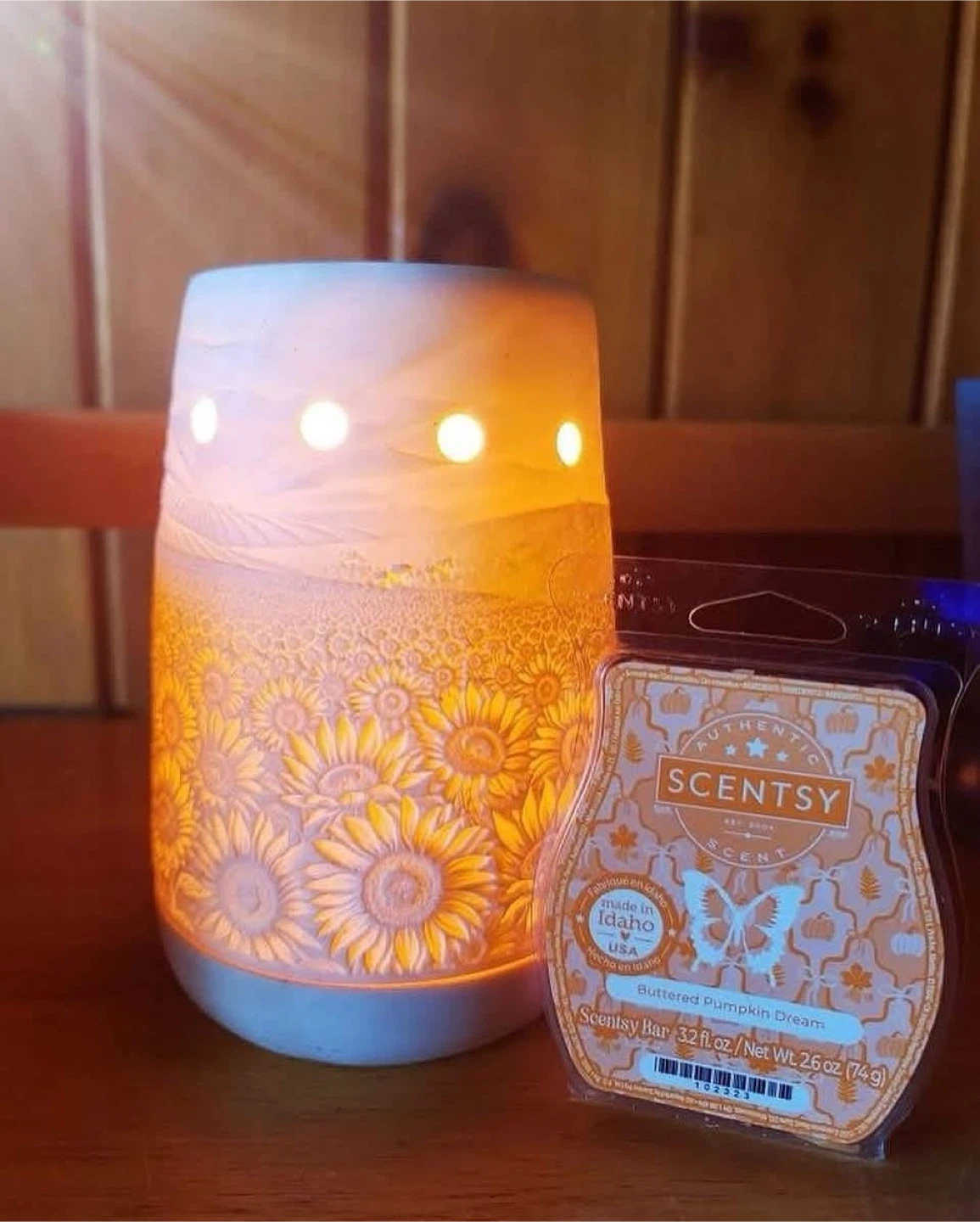 Scentsy, Sunflower Fields Warmer!