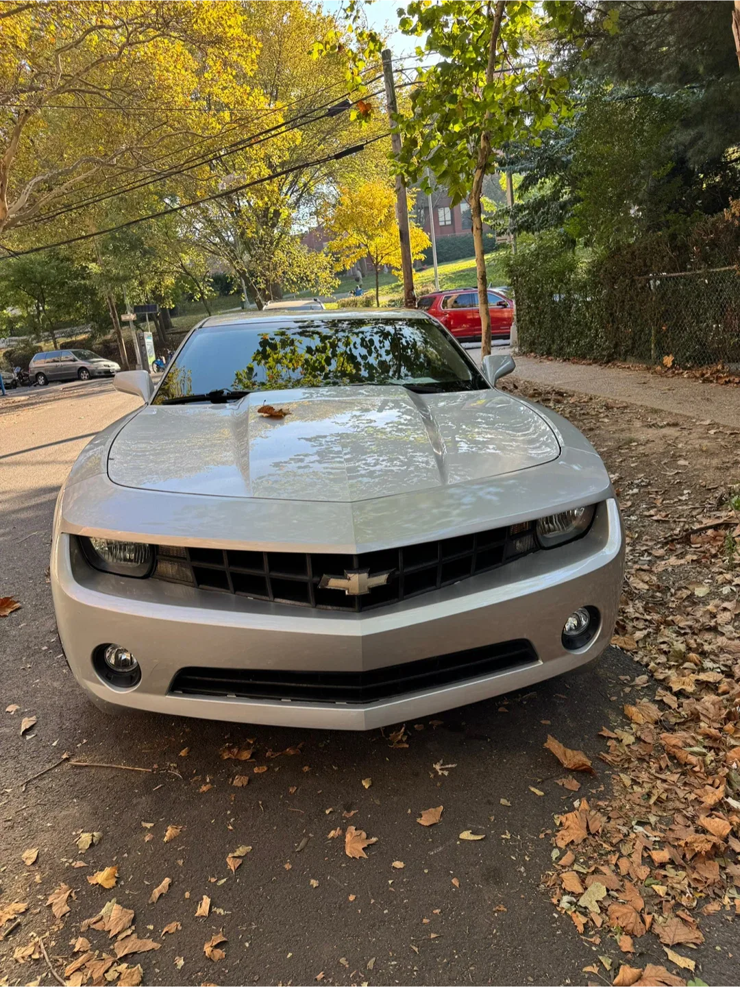 Silver Chevrolet Camaro Car image indicator(2)