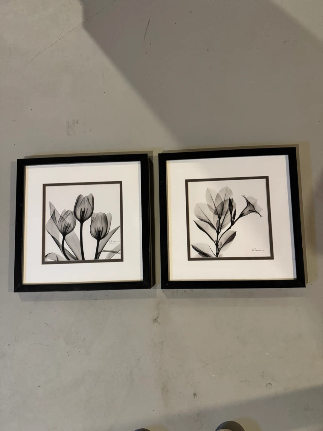 Framed Flower Prints - Set of 2