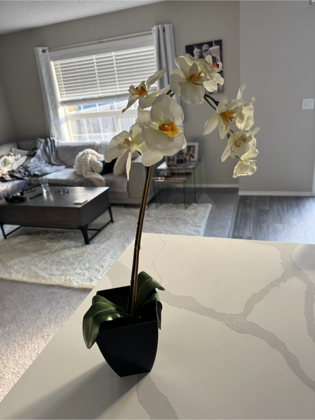 Artificial White Orchid in Black Pot - photo 2