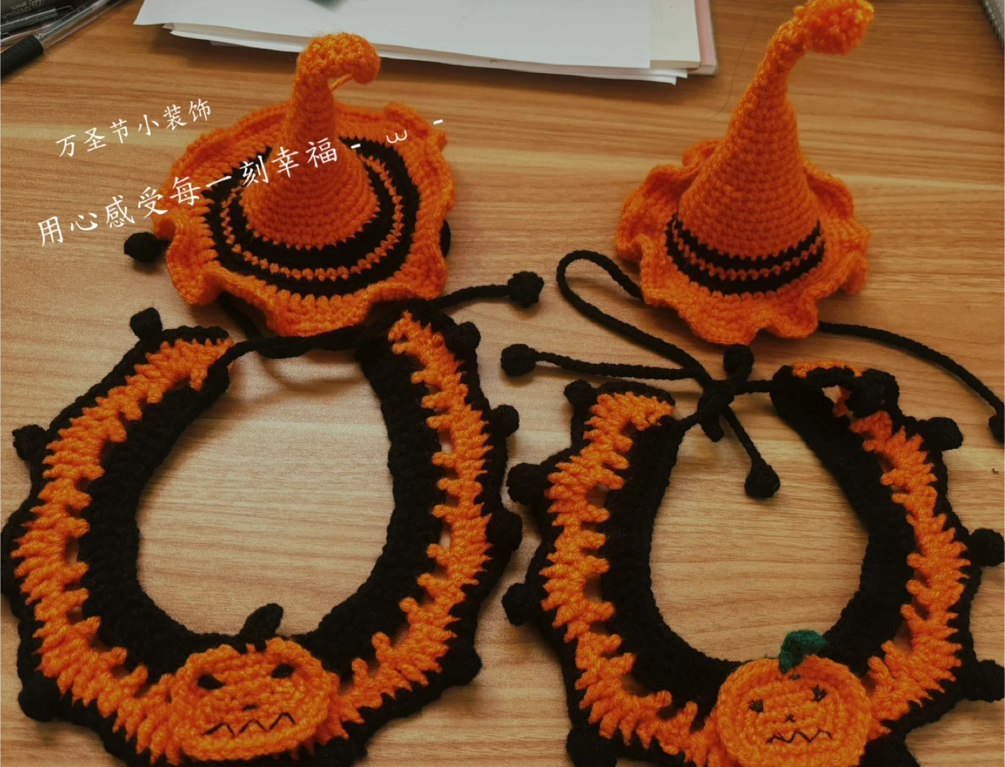 Handmade Halloween Pet Costume Set