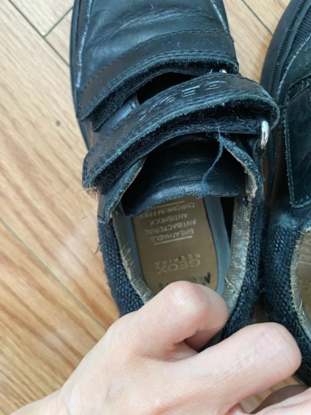 Geox Black Velcro Leather Shoes - Toddler Size 28 image indicator(5)