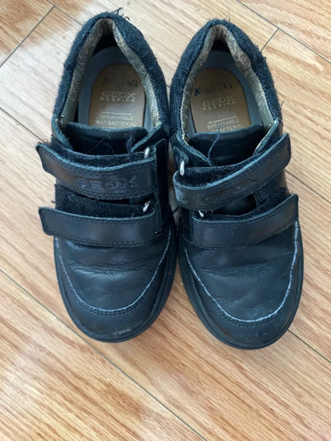 Geox Black Velcro Leather Shoes - Toddler Size 28 image indicator(3)