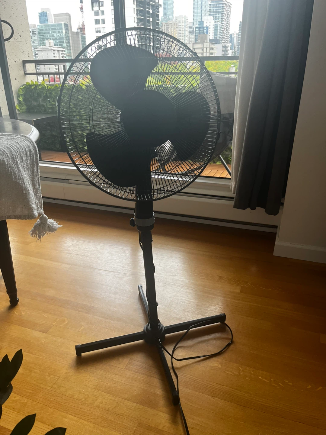 Black Standing Fan