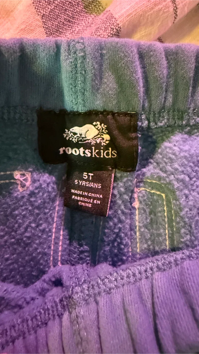 Roots Kids 5T Hoodie & Sweatpants Set image indicator(3)