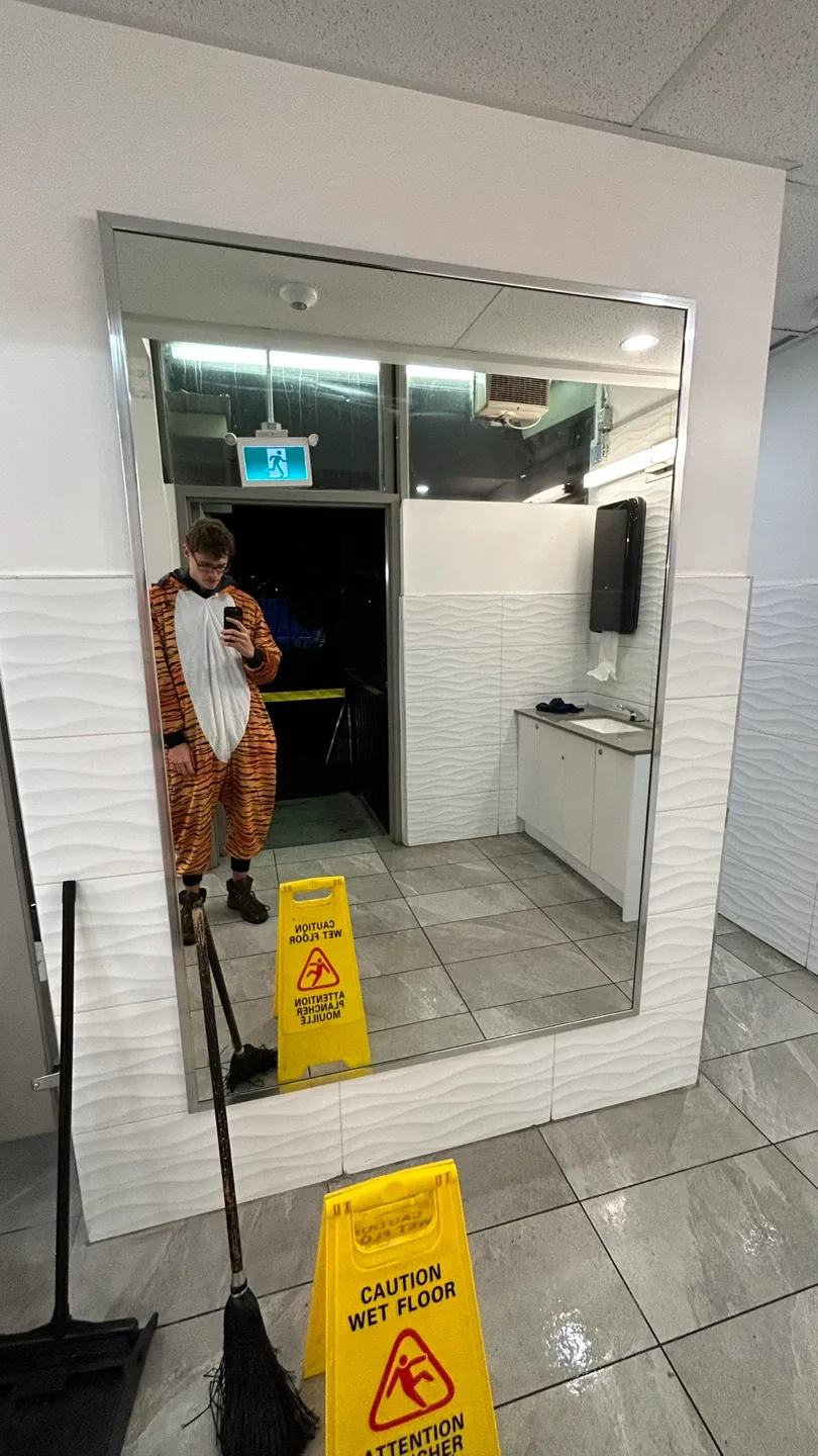 Tiger Halloween costume - Large size image indicator(3)