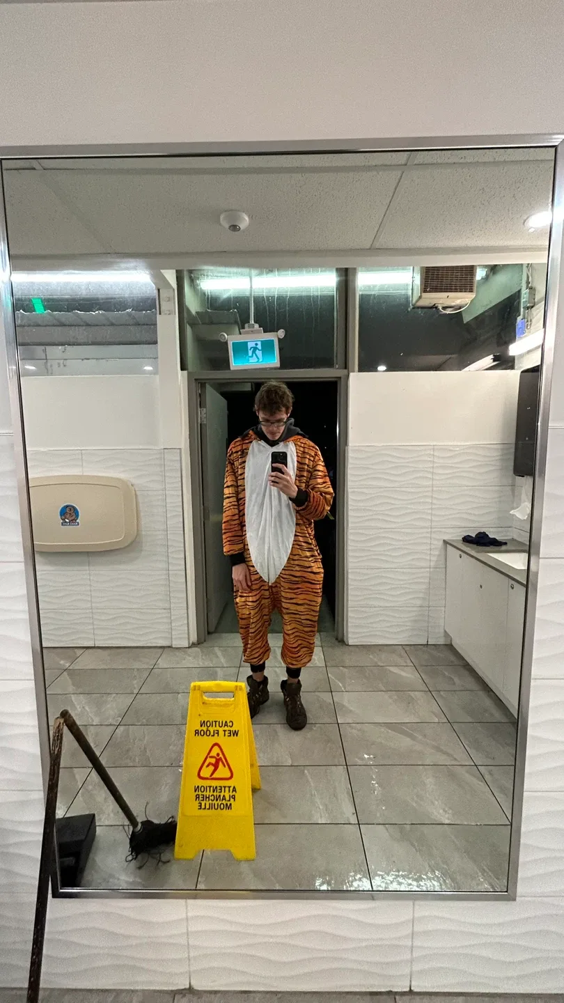 Tiger Halloween costume - Large size image indicator(2)