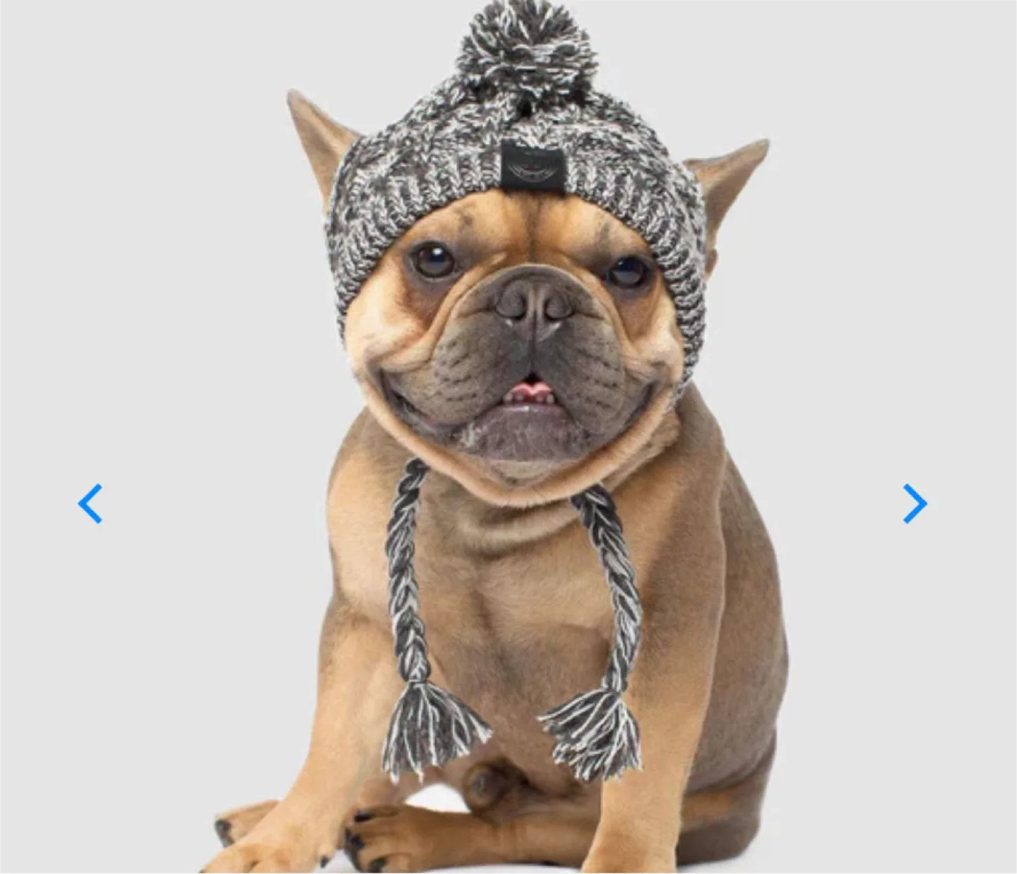 Canada Pooch Pola Pom Pom Hat - M/M thumbnail