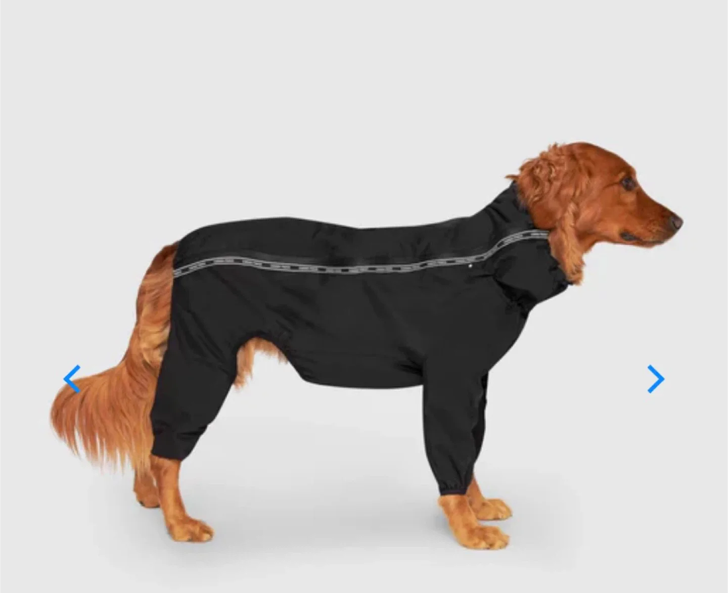 Canadá Pooch Dog Slush Suit Size 18