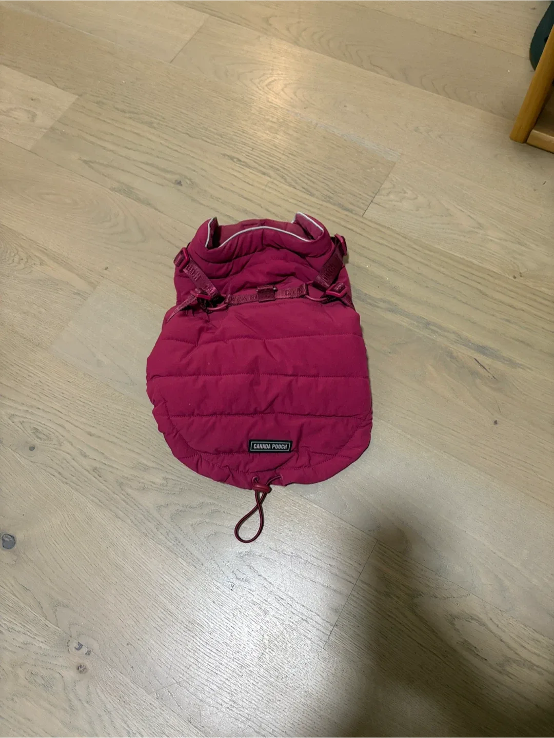 Canada Pooch Harness Puffer - Plum, Size 14