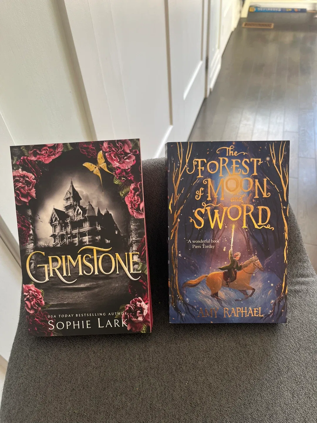 Fantasy Book Bundle - Grimstone, Forest of Moon and Sword image indicator(2)
