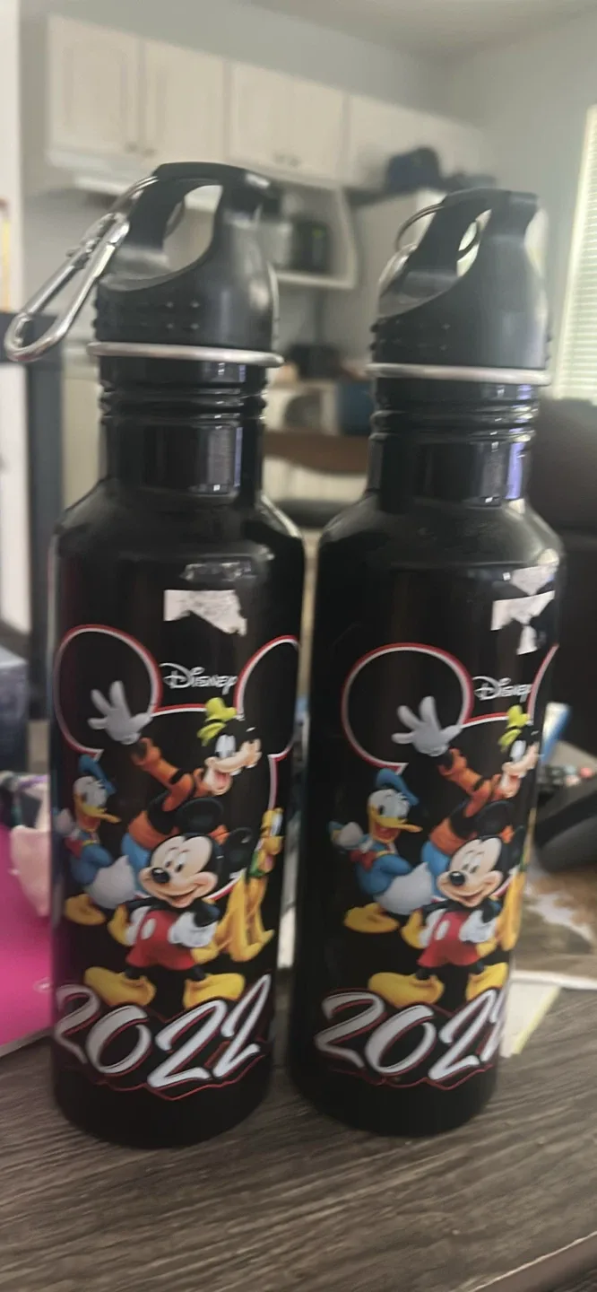 Disney 2022 Water Bottle thumbnail