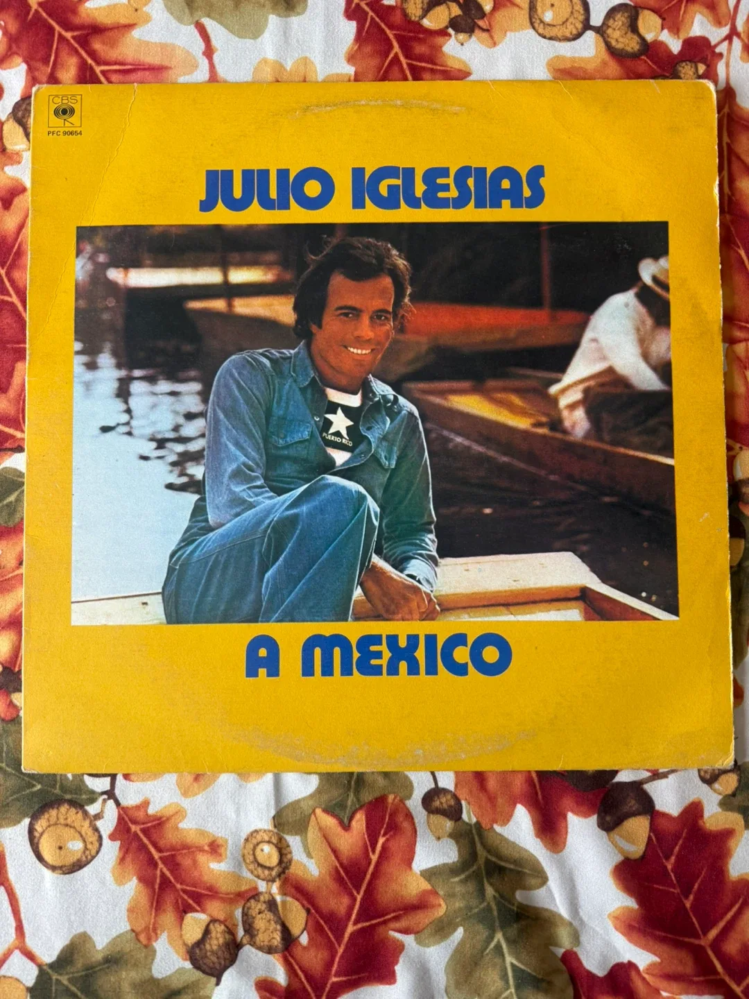 Julio Iglesias Vinyl Record Collection image indicator(5)