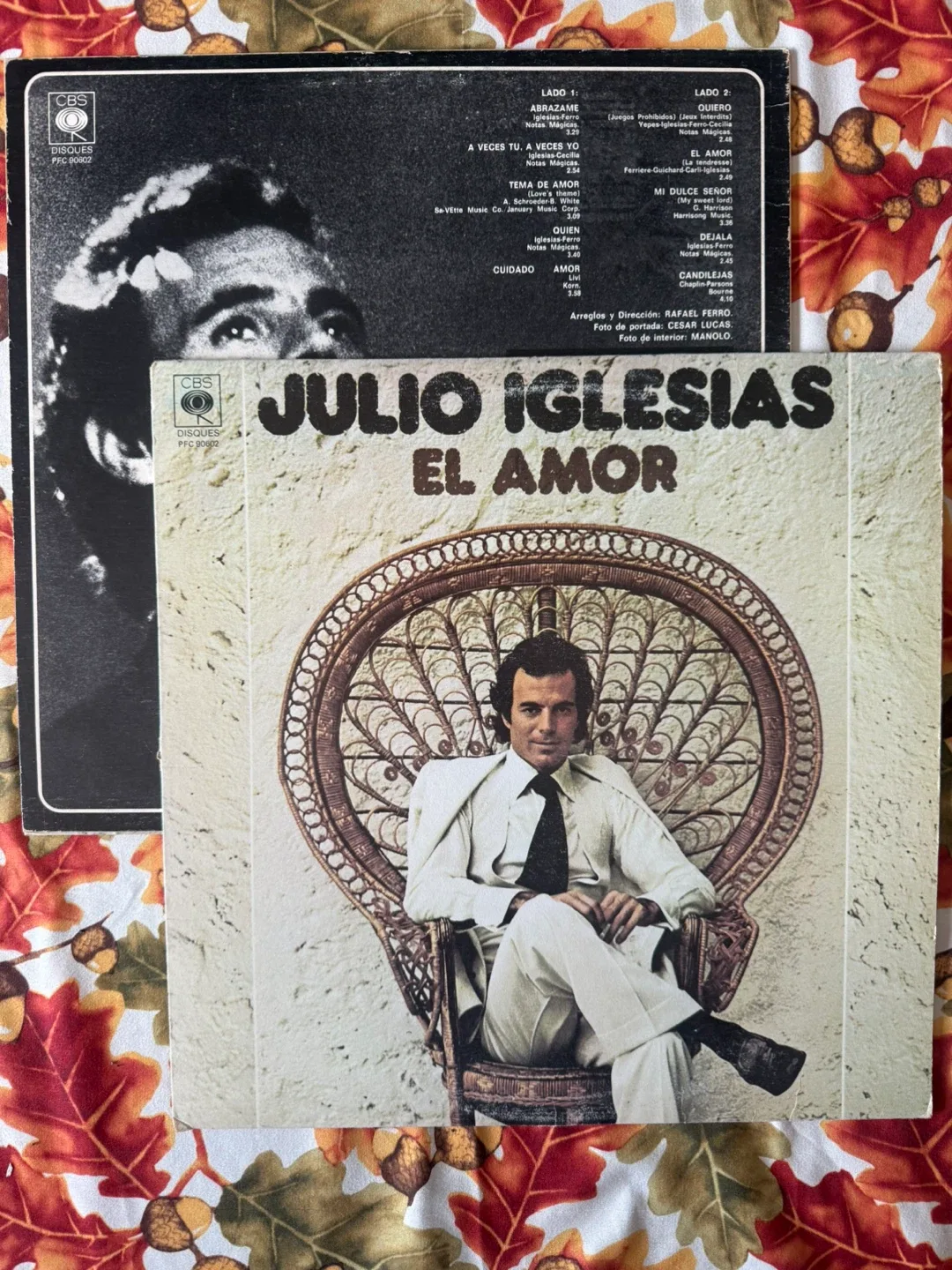 Julio Iglesias Vinyl Record Collection image indicator(7)