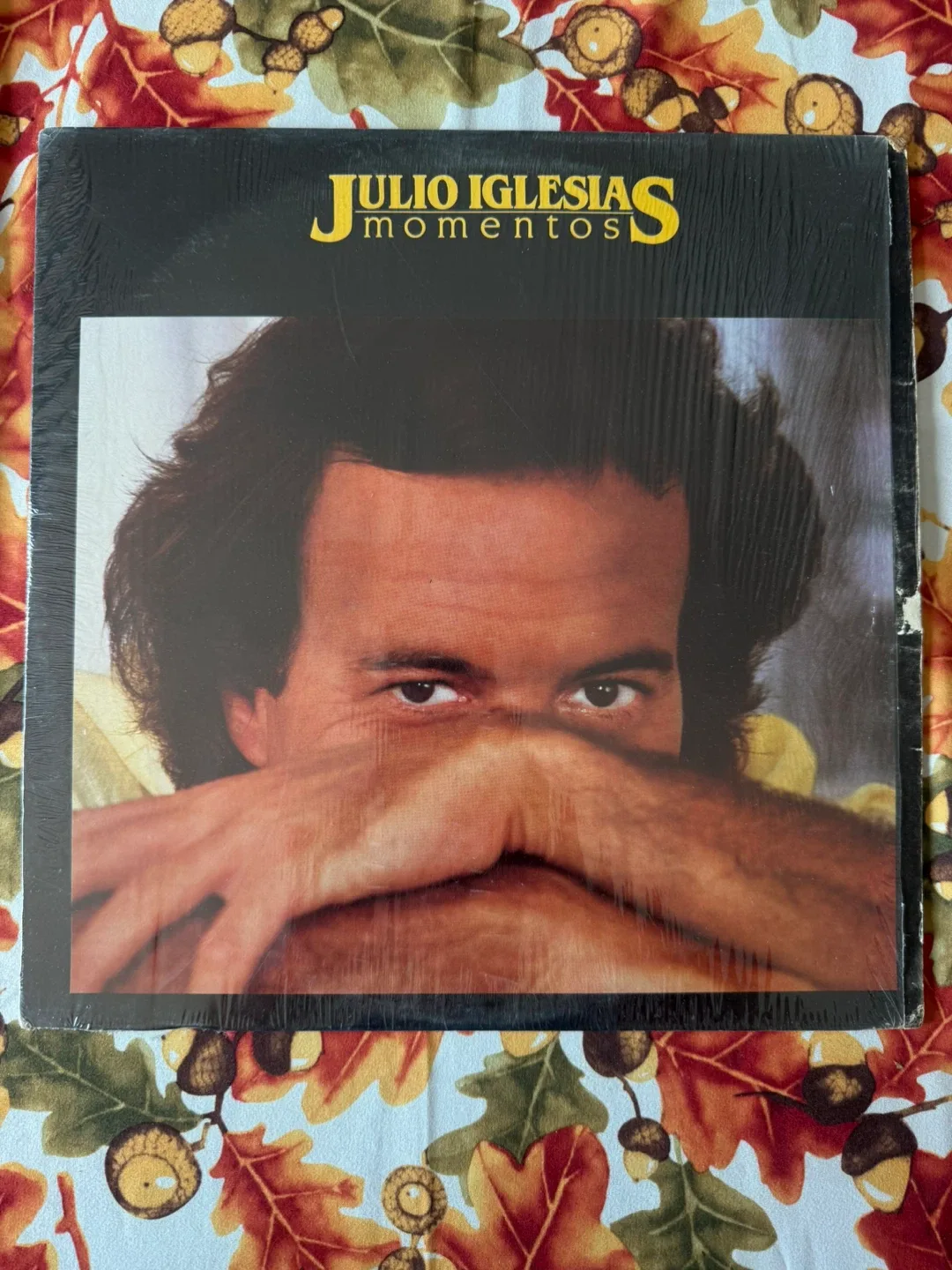 Julio Iglesias Vinyl Record Collection image indicator(8)