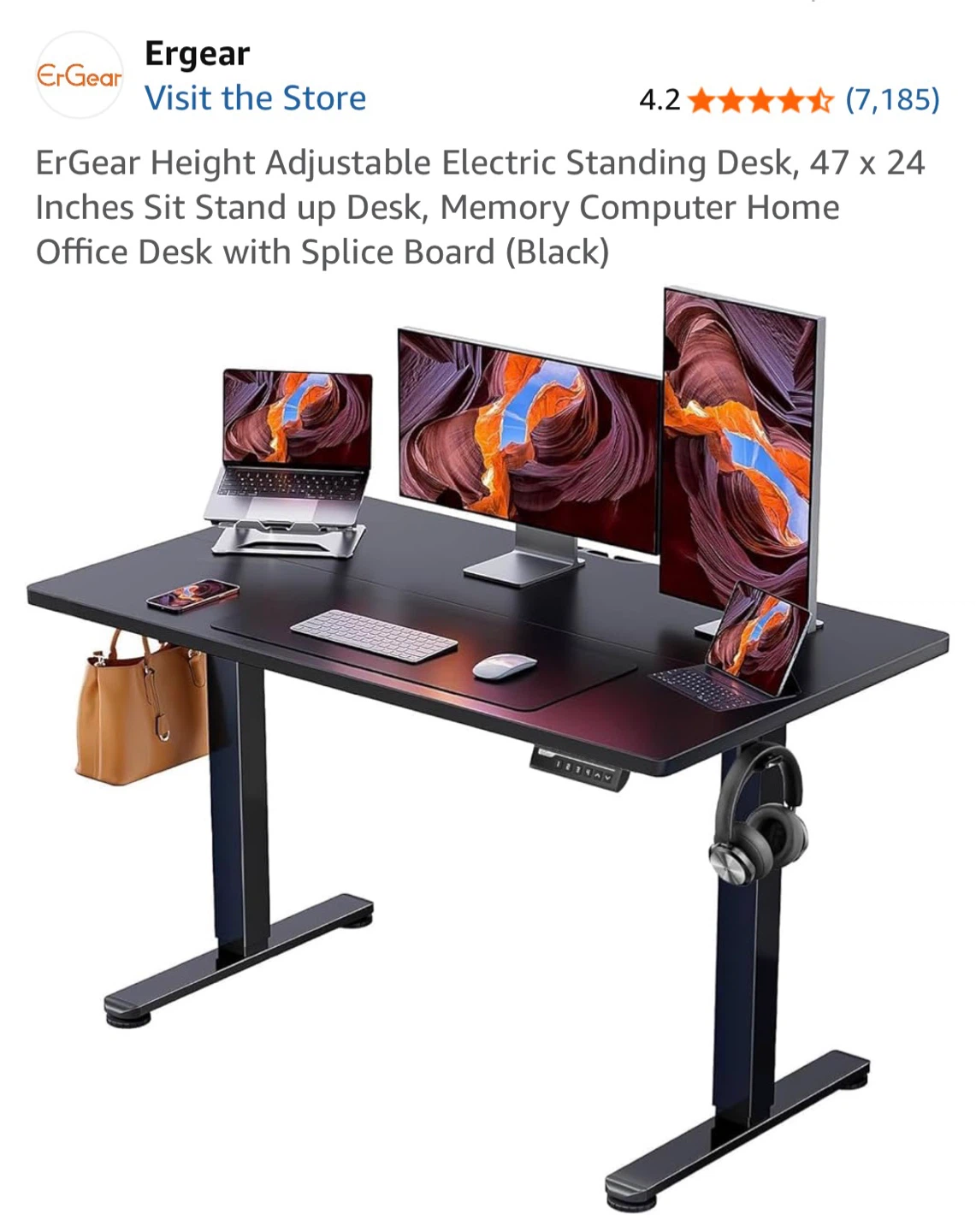 ErGear Adjustable Electric Standing Desk