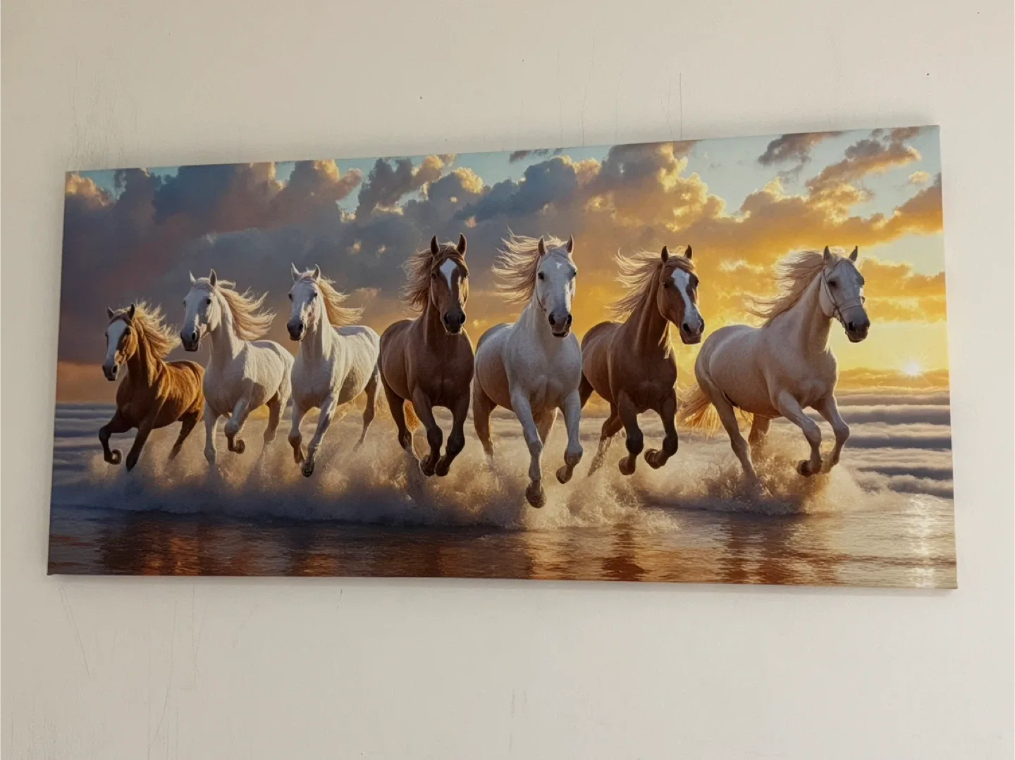 Home decoration/ Wall decoration/ Canvas painting image indicator(2)