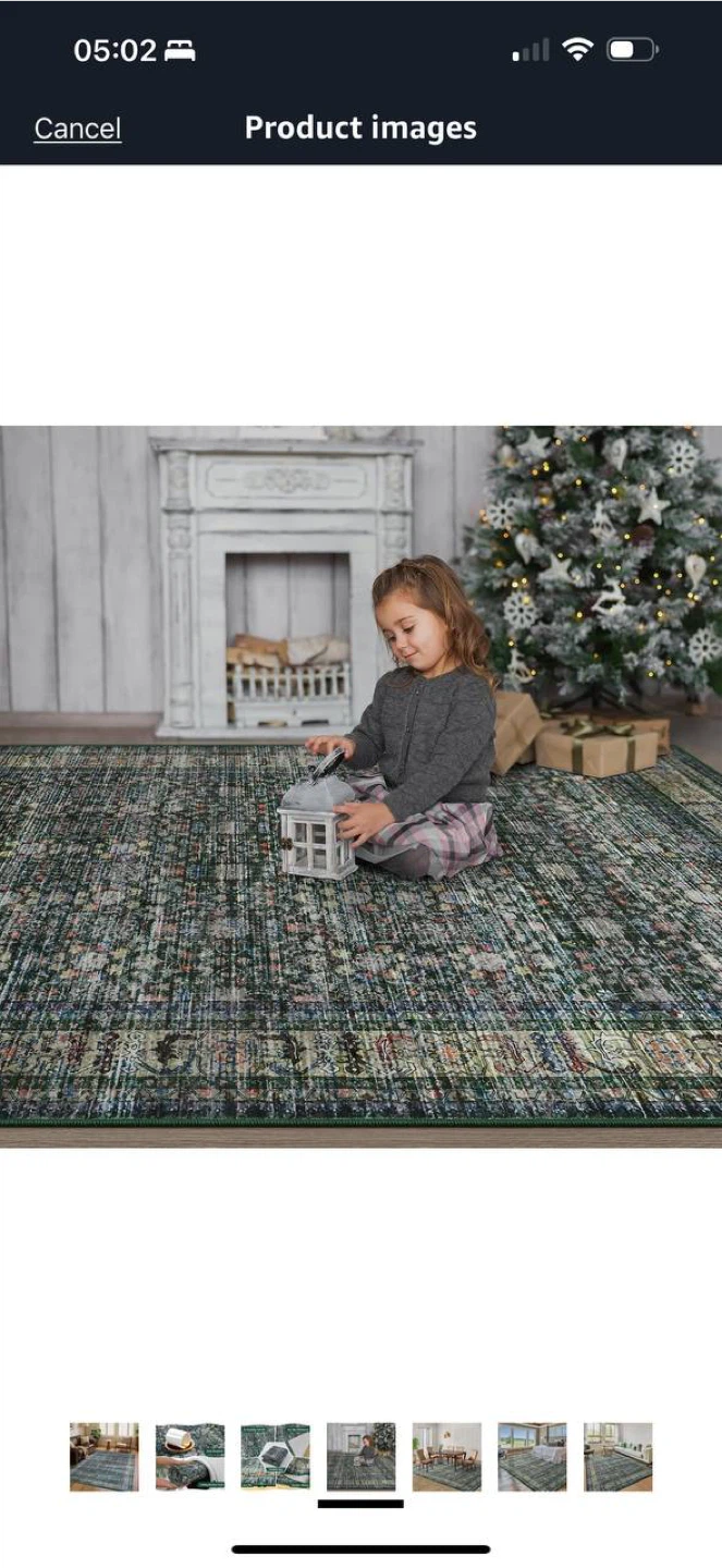 Iridesca 8x10 Vintage Area Rug – Green/Multi – NEW 🏡 - photo 5