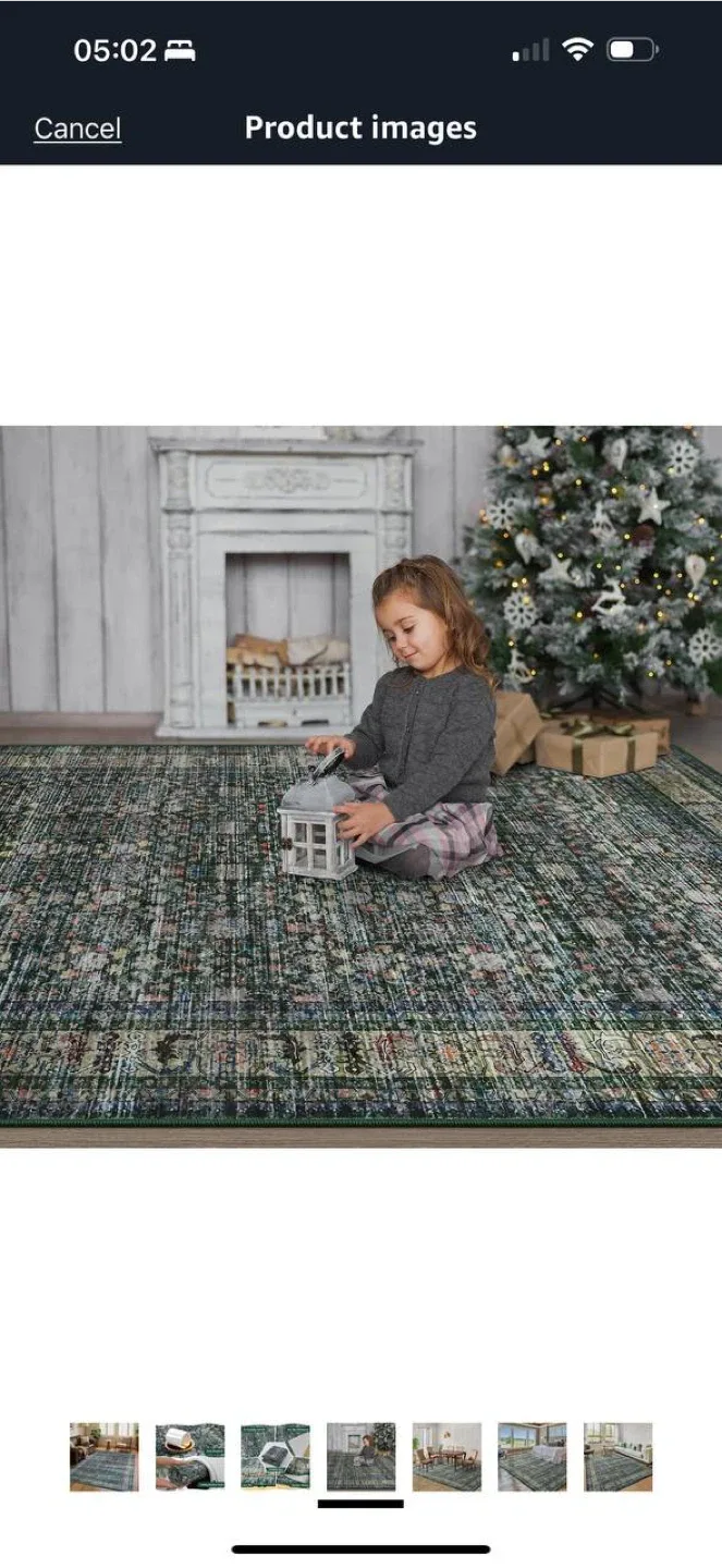 Iridesca 8x10 Vintage Area Rug – Green/Multi – NEW 🏡 image indicator(5)