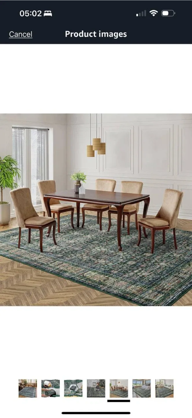 Iridesca 8x10 Vintage Area Rug – Green/Multi – NEW 🏡 image indicator(6)