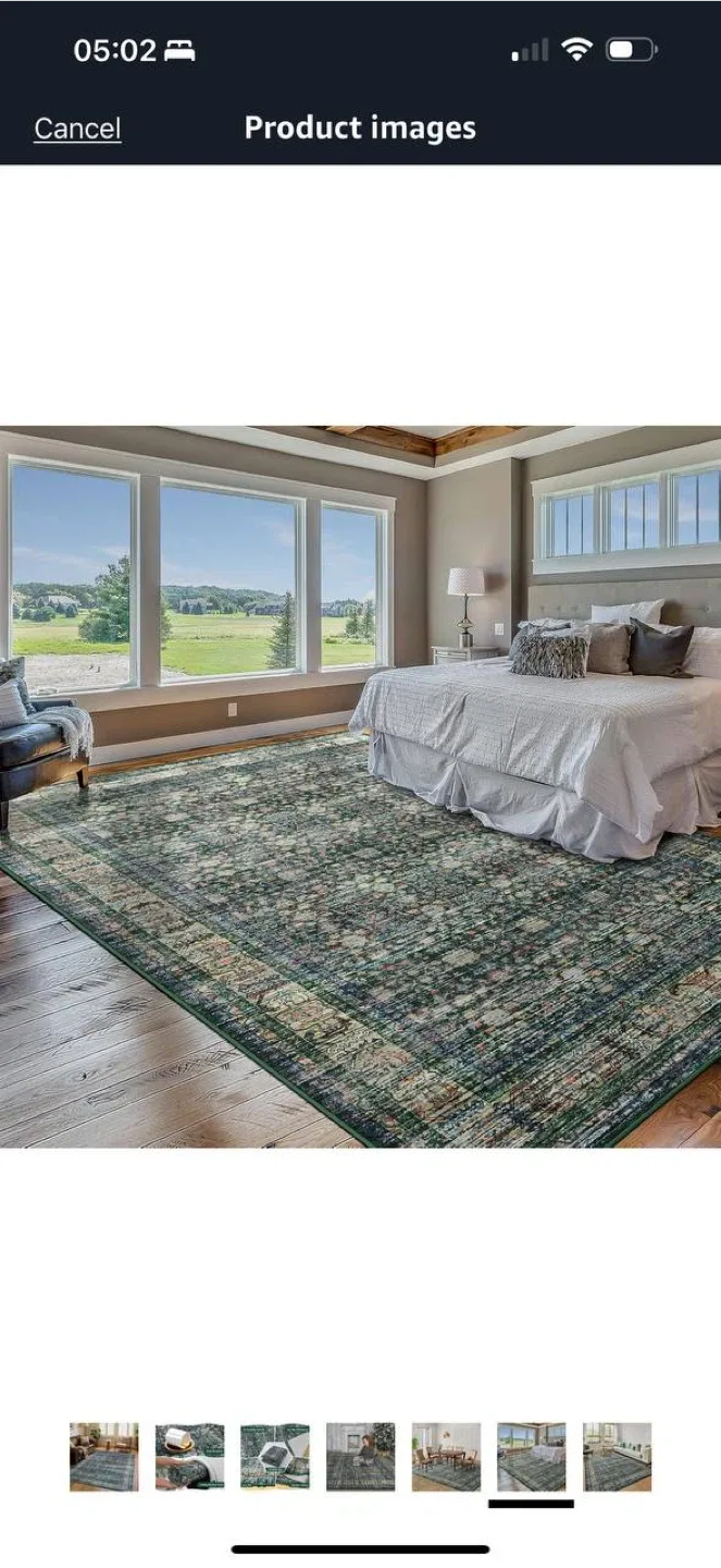 Iridesca 8x10 Vintage Area Rug – Green/Multi – NEW 🏡 image indicator(7)