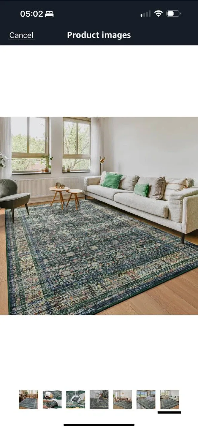 Iridesca 8x10 Vintage Area Rug – Green/Multi – NEW 🏡 image indicator(8)