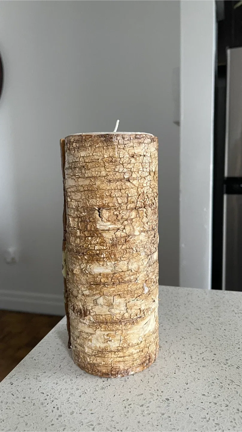 Log Candle image indicator(5)