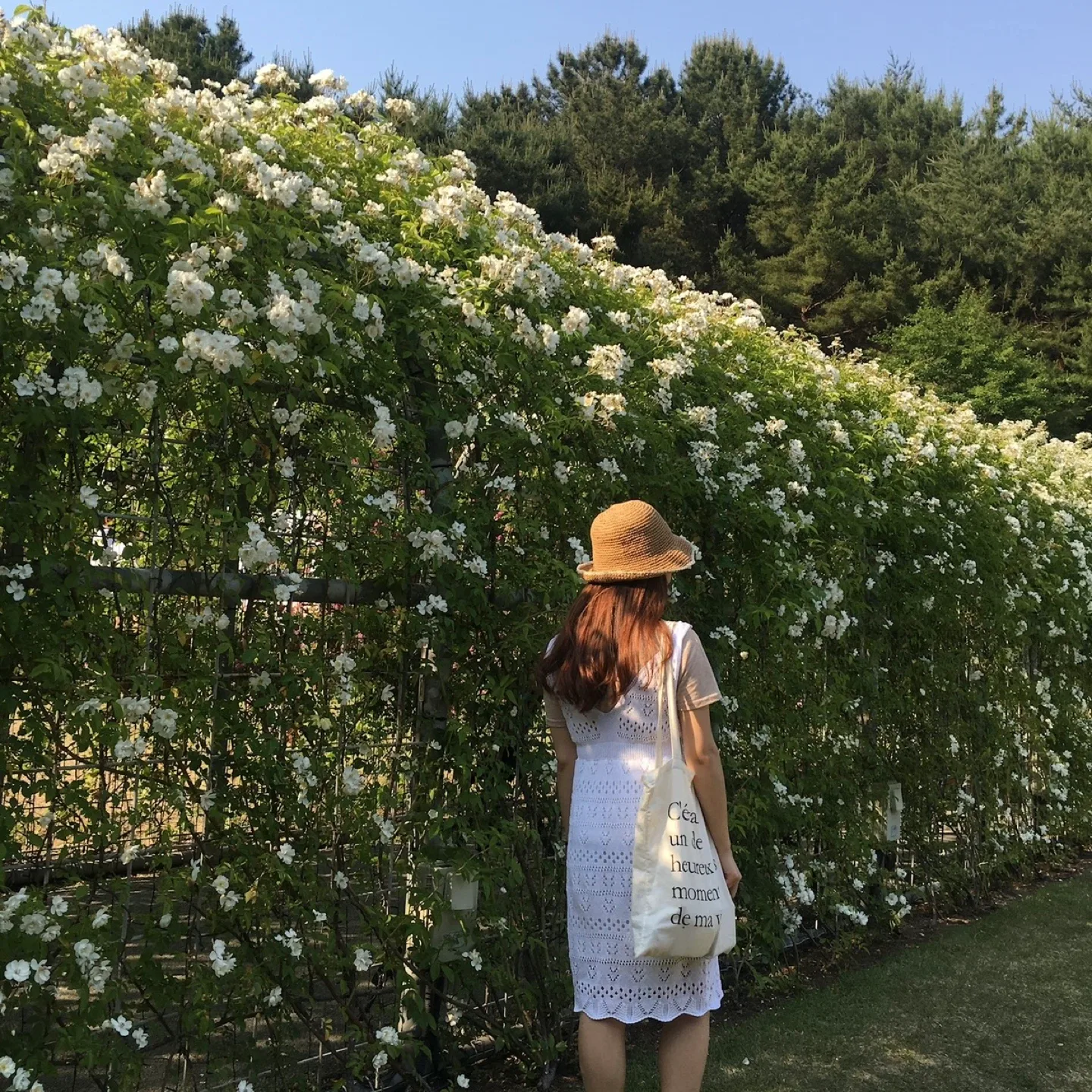 White Lace Dress image indicator(2)