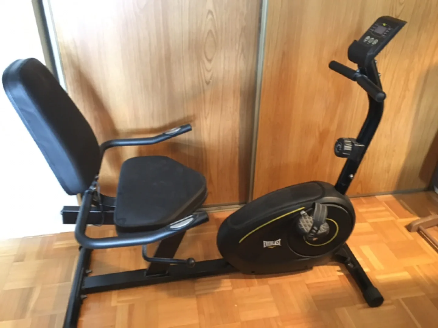 Everlast Recumbent Exercise Bike