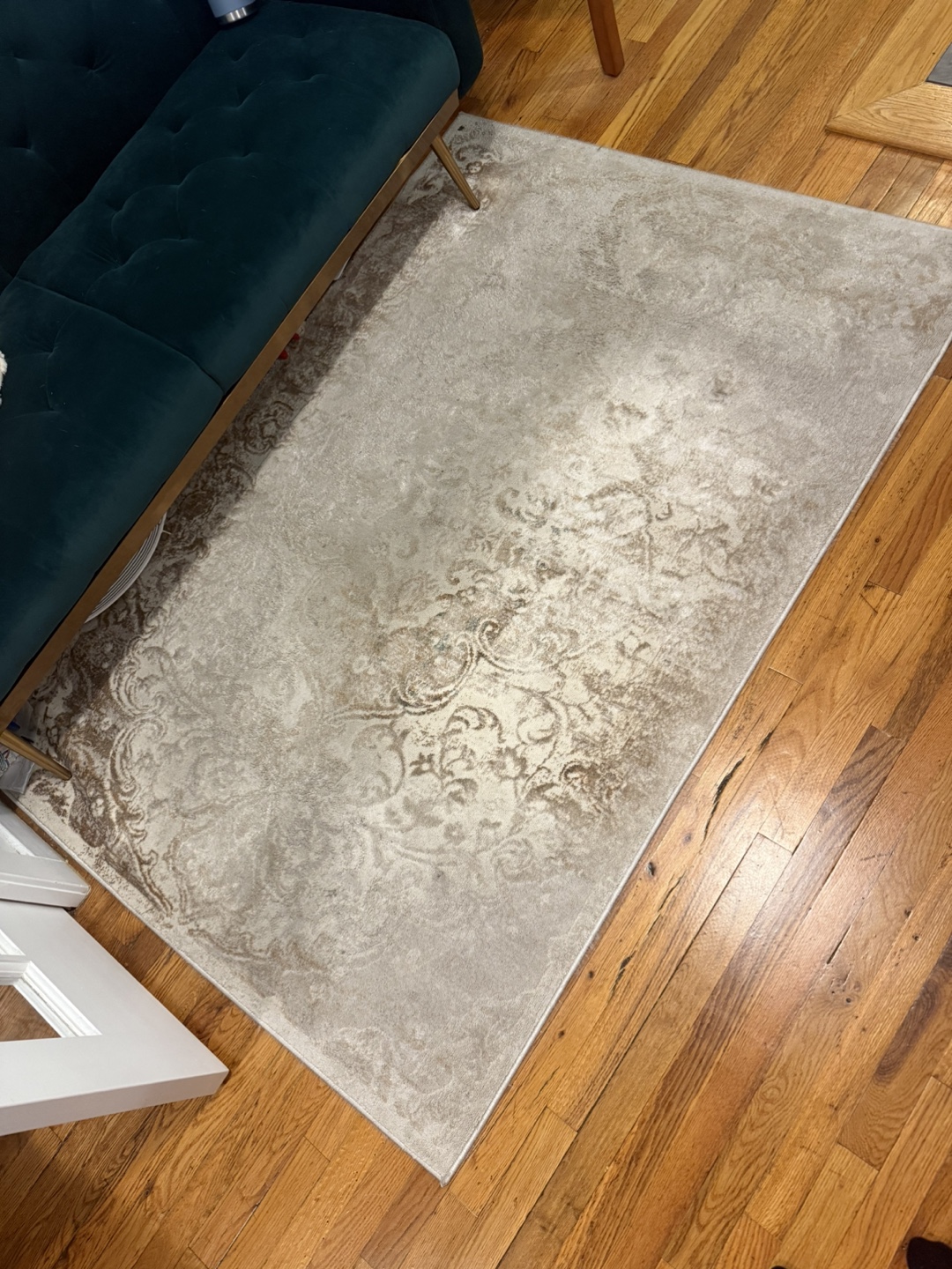 Beige 4x6 Area Rug