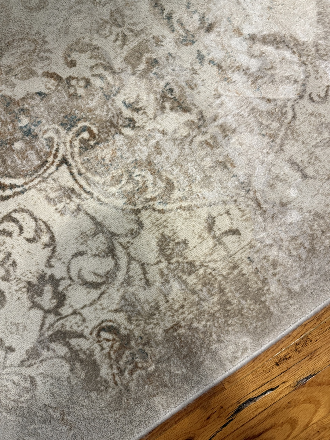 Beige 4x6 Area Rug - photo 2