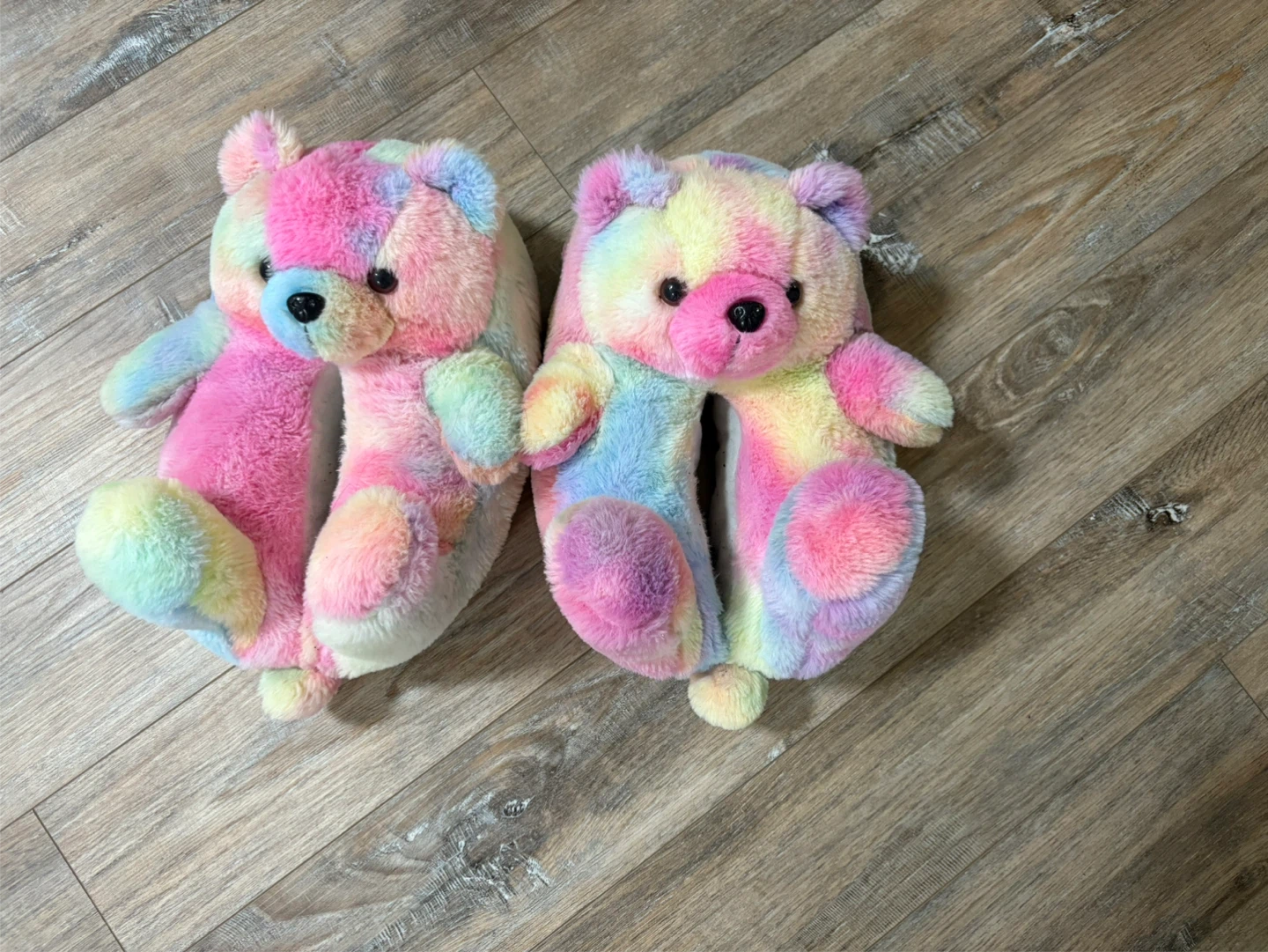 Rainbow Teddy Bear Slippers
